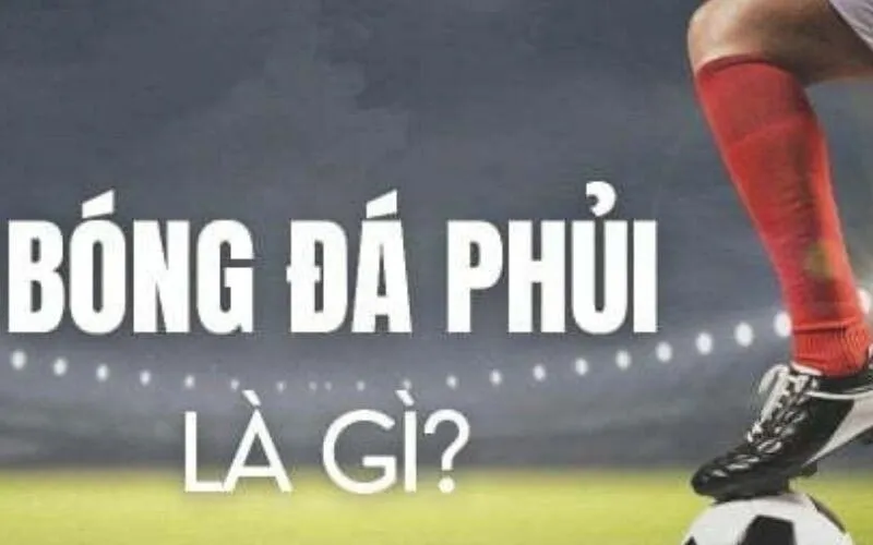 bong-da-phui-la-gi