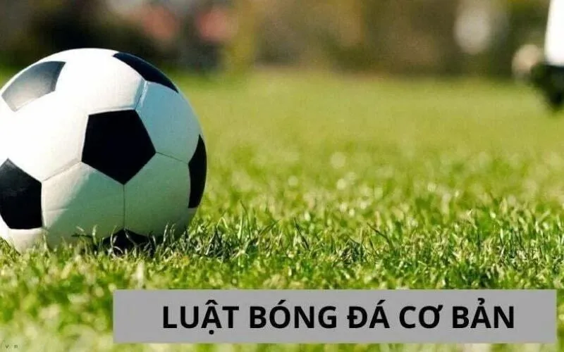 luat-trong-bong-da